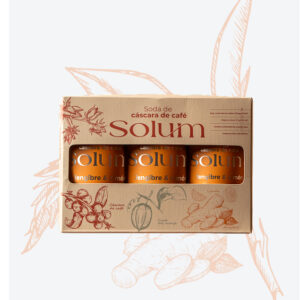 6 Pack - Jengibre & Limón