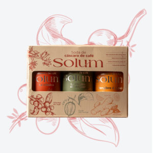 6 Pack – Solum Surtido