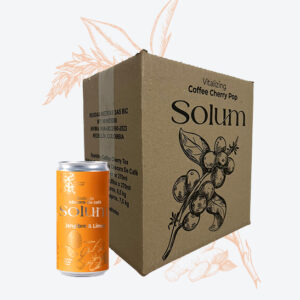 Caja x 24 - Jengibre y Limón