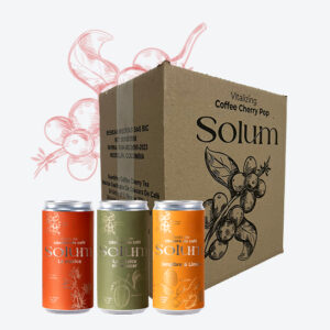 Caja x 24 - Solum Surtido